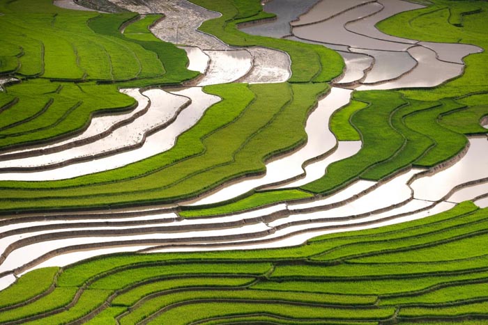 農(nóng)旅融合項目發(fā)展路徑研究分析｜歐賽斯品牌策劃