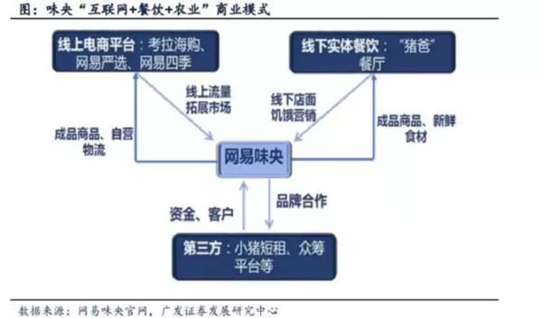 歐賽斯商業(yè)洞察：豬肉市場研究及湘村黑豬戰(zhàn)略破局