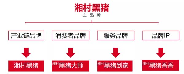 歐賽斯商業(yè)洞察：豬肉市場研究及湘村黑豬戰(zhàn)略破局