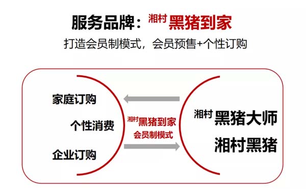 歐賽斯商業(yè)洞察：豬肉市場研究及湘村黑豬戰(zhàn)略破局