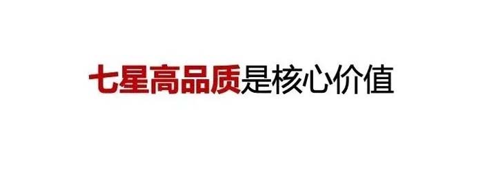 如果世界上只有5塊瓷磚，其中1塊就叫大將軍-大將軍品牌戰(zhàn)略破局策劃深度揭秘