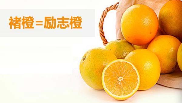 價盤體系策劃：高質優(yōu)價的規(guī)律及方法