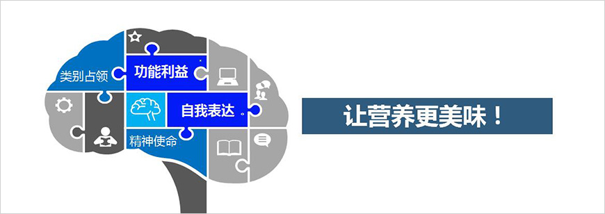 一大核心價值占位心智 一大核心價值占位心智