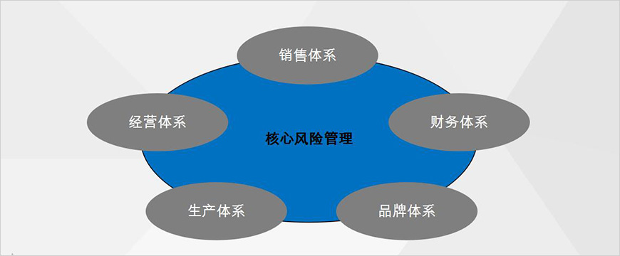 核心風(fēng)險(xiǎn)管理
