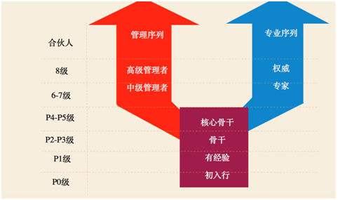 員工職業(yè)規(guī)劃